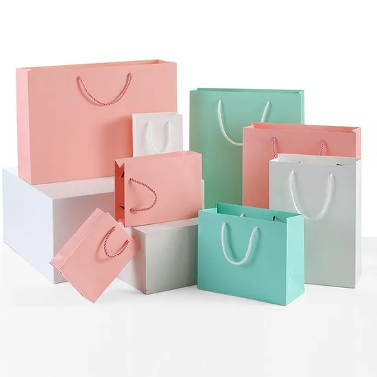 Custom High Quality Cosmetic Paper Printing Shopping Gift Bag